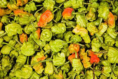 《全面战争：战锤3》新预告 色孽兵种名册揭秘